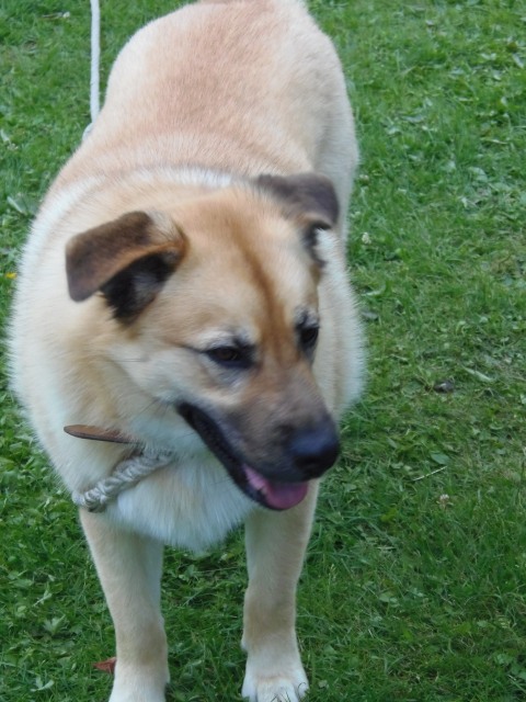 ../fotos/het_verlaat_2017/2017-07-11 20.48.25.jpg